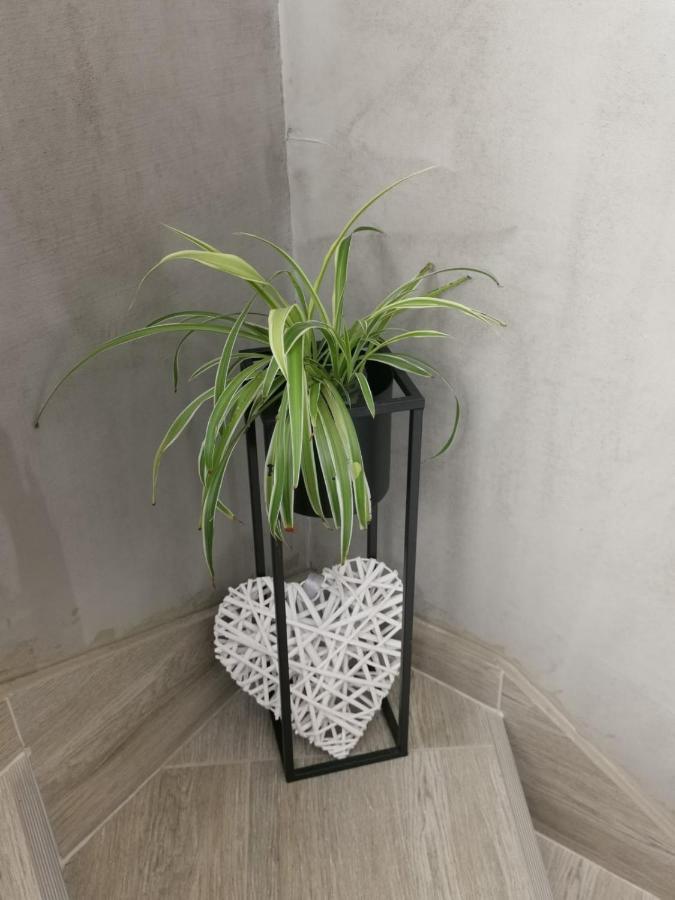 Nozret Apartment Paljuv Ngoại thất bức ảnh